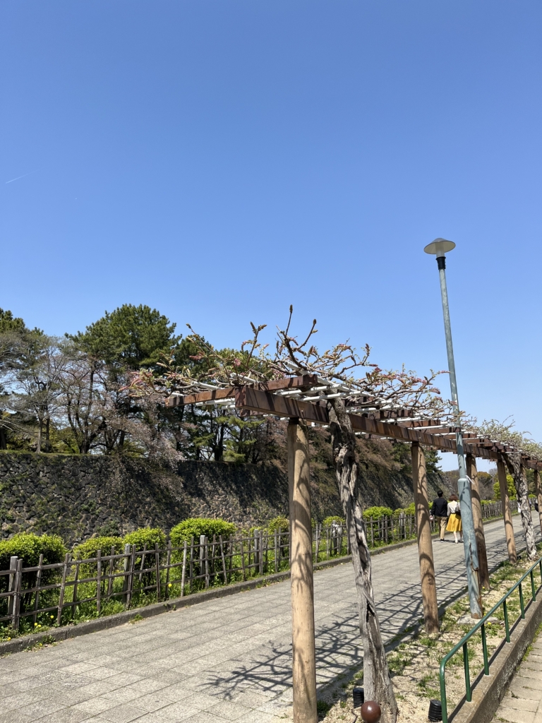 名城公園
藤の回廊