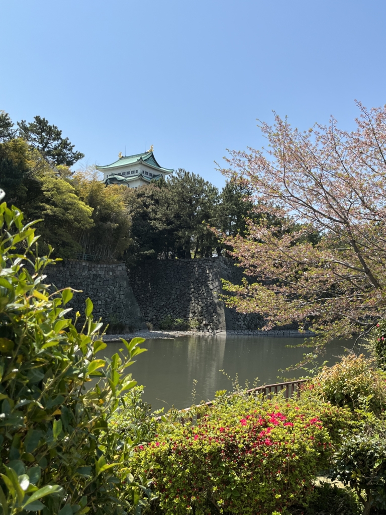 名古屋城
お堀
名城公園
金のしゃちほこ