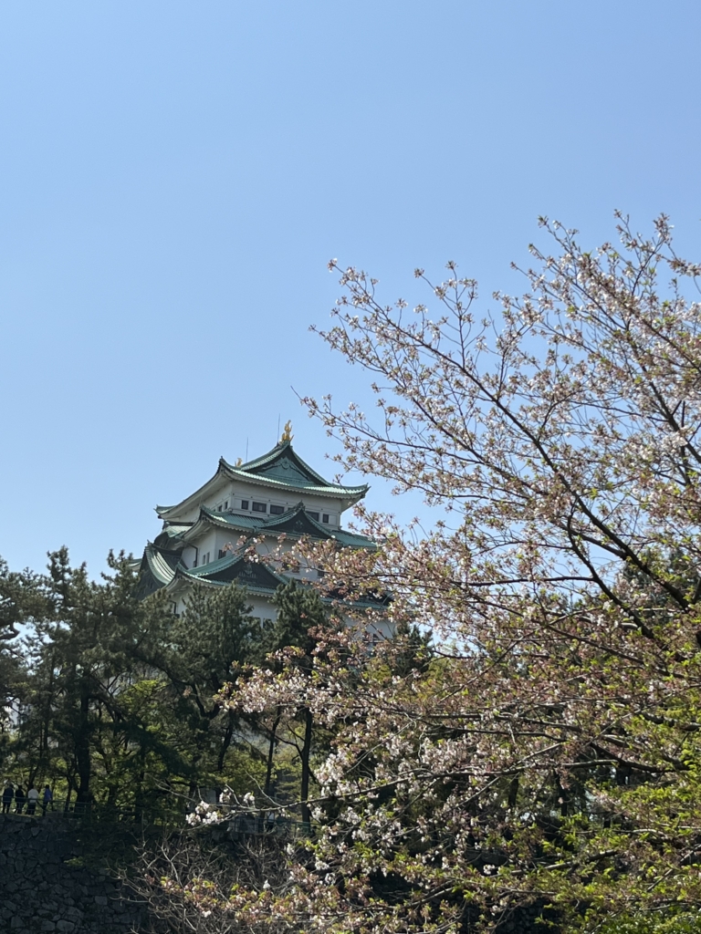 名古屋城
名城公園