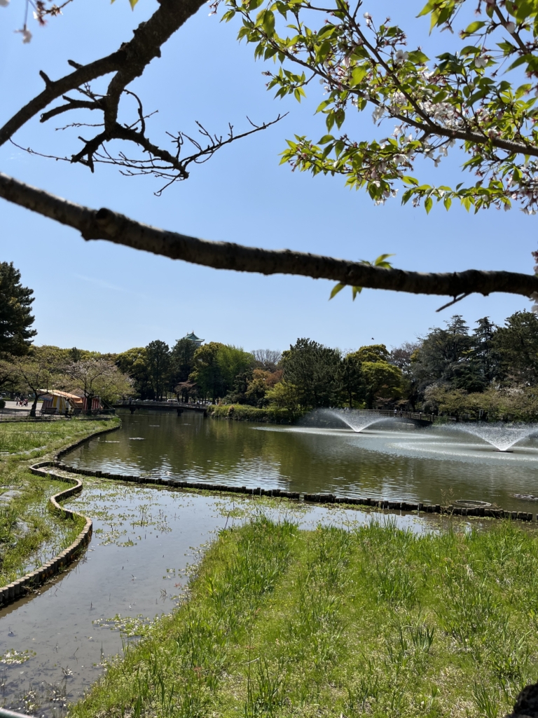 名城公園の噴水