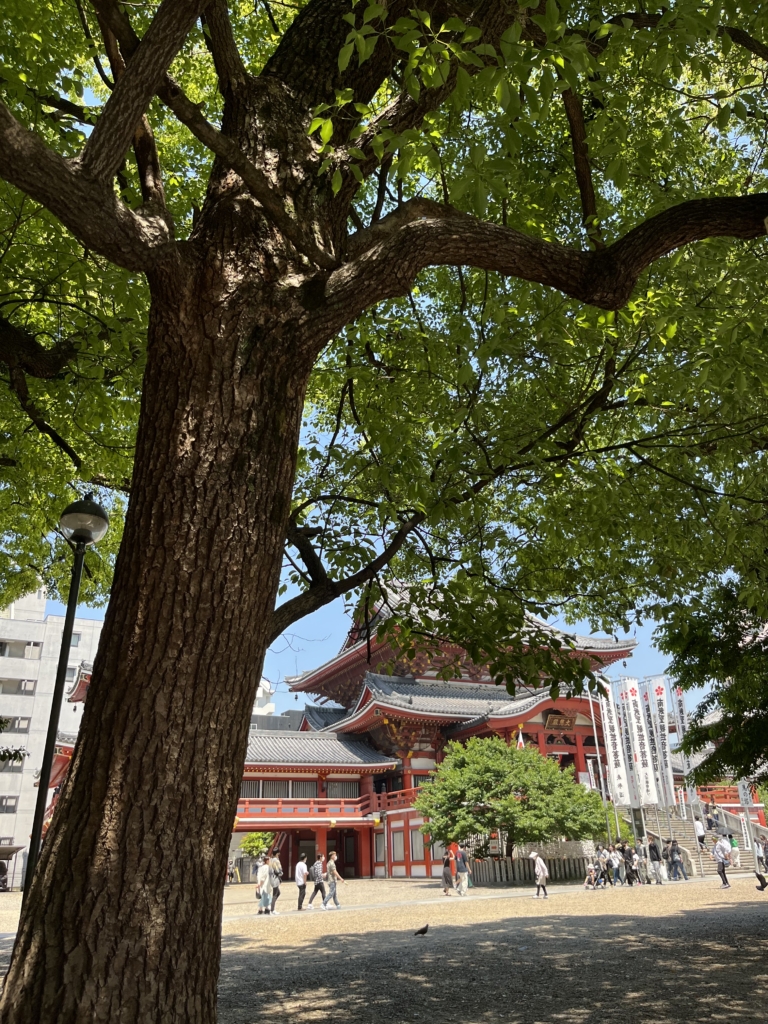 大須観音
名古屋
大須商店街